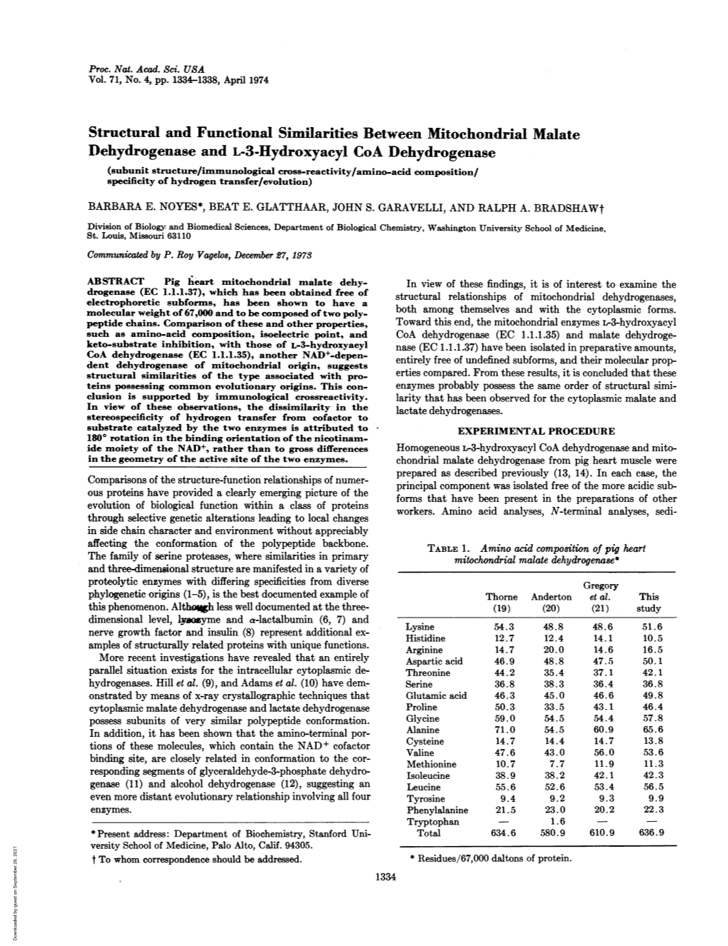 Structural and Functional Similarities Between Mitochondrial