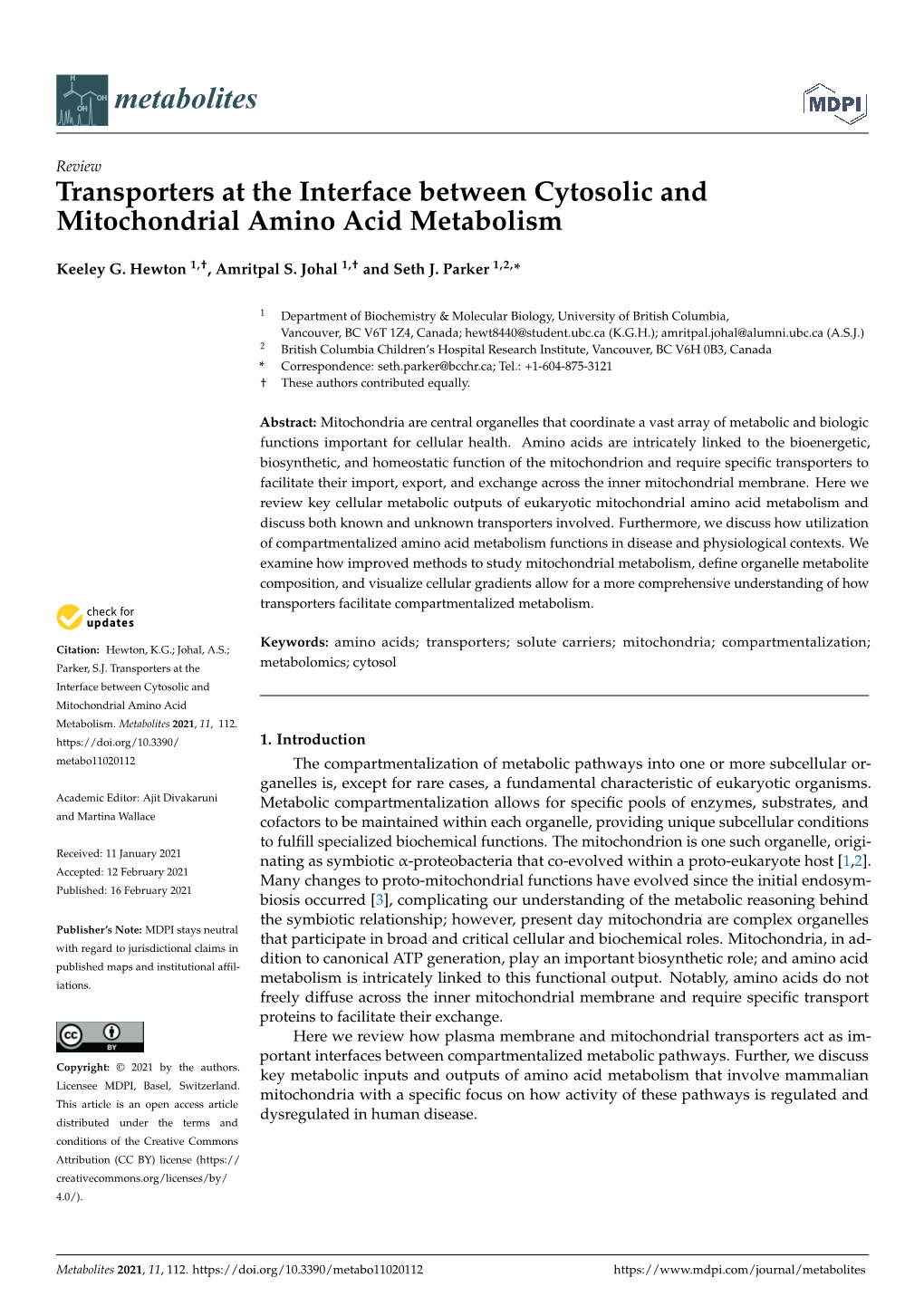 Transporters at the Interface Between Cytosolic and Mitochondrial Amino Acid Metabolism