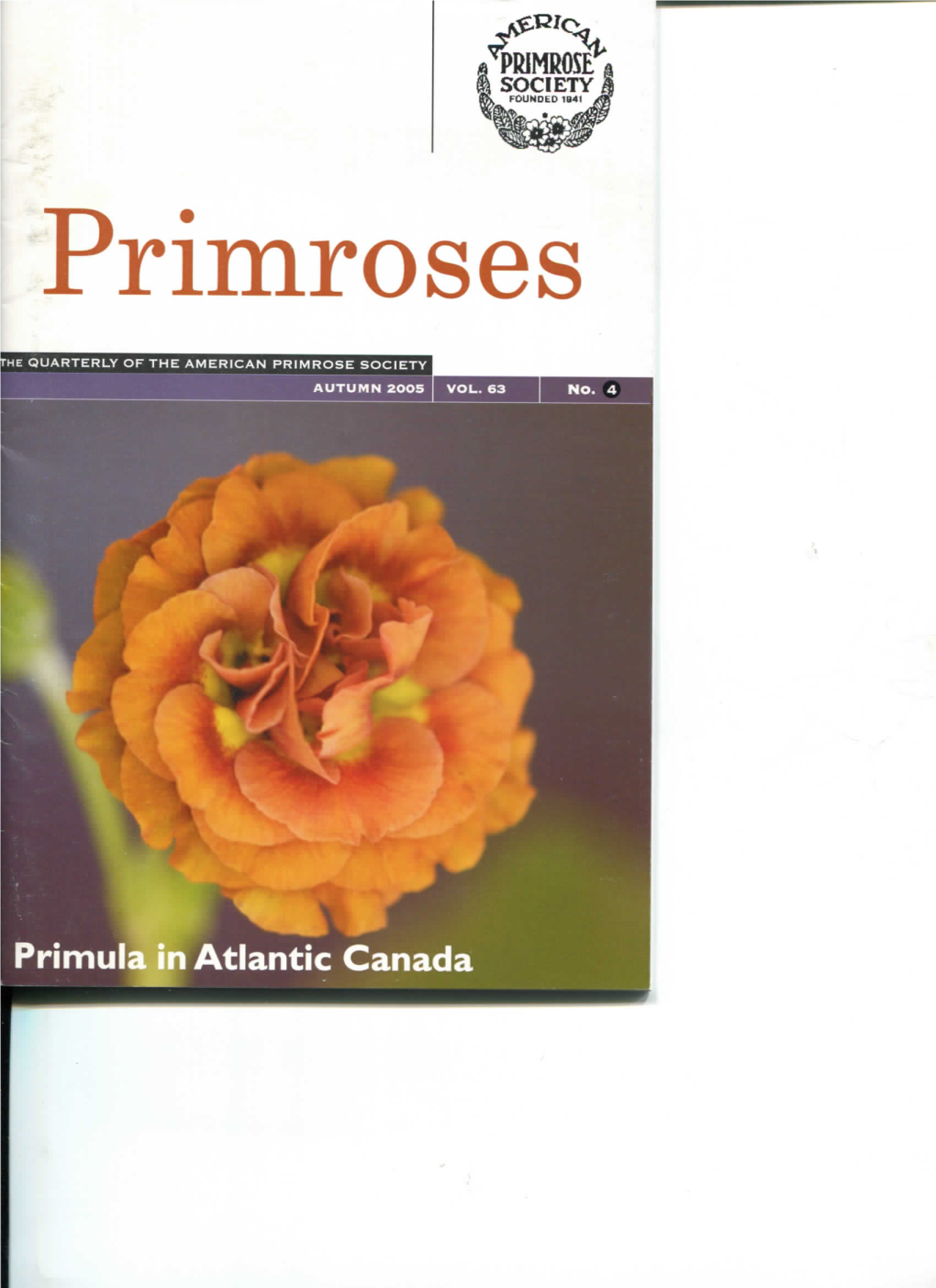 The American Primrose Society