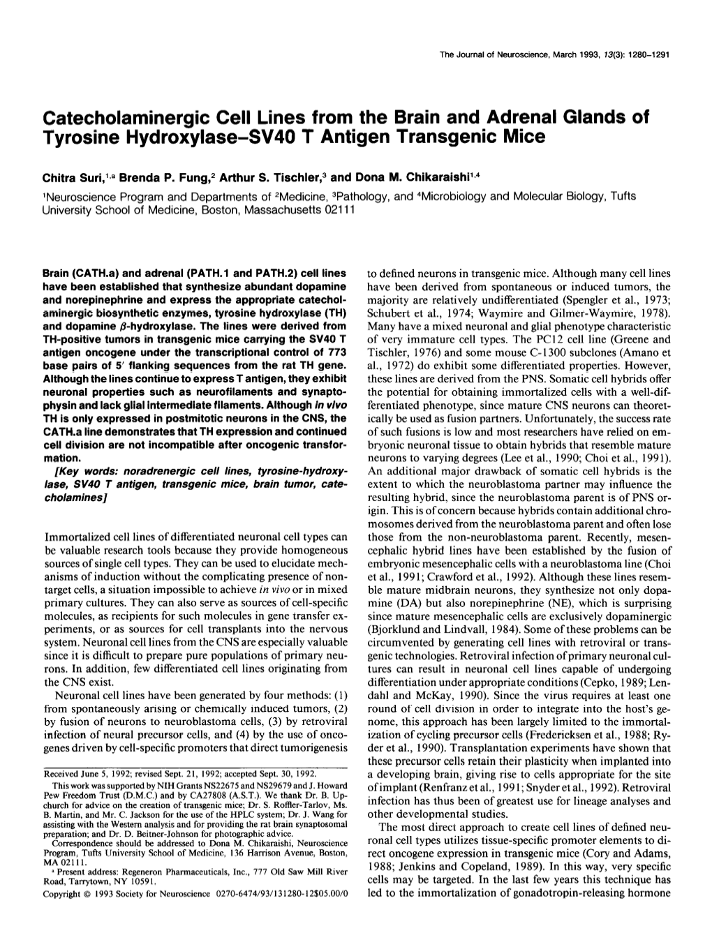 Catecholaminergic Cell Lines from the Brain and Adrenal Glands of Tyrosine Hydroxylase-SV40 T Antigen Transgenic Mice