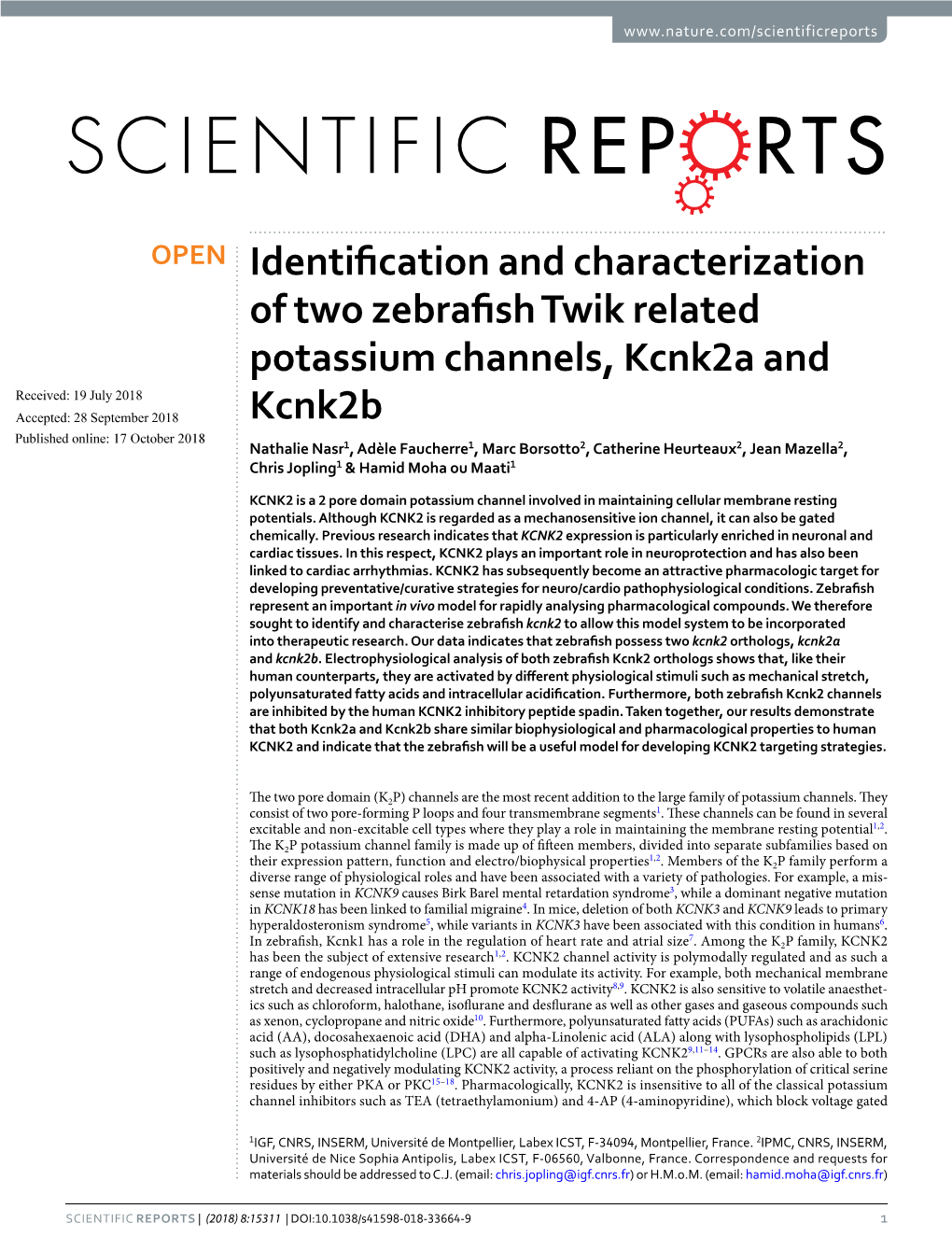 Identification and Characterization of Two Zebrafish Twik Related