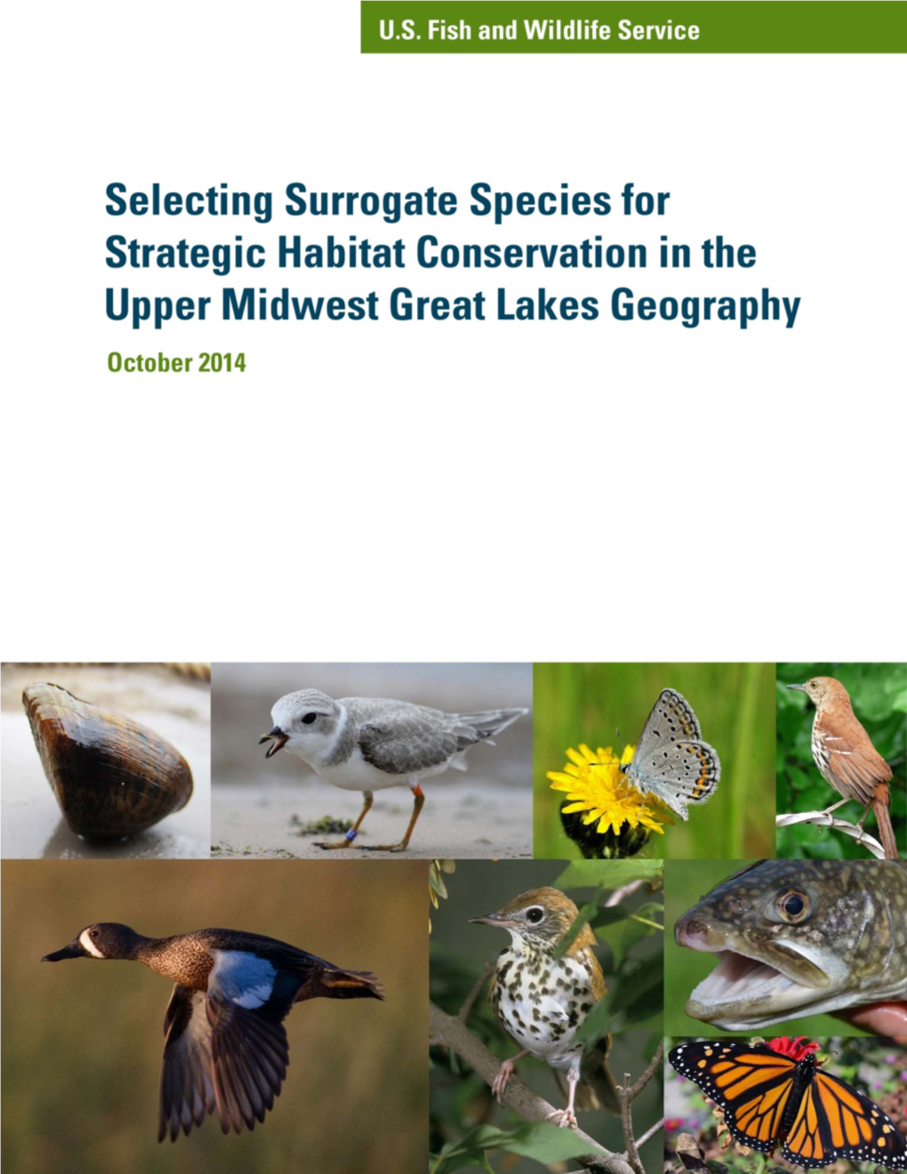 UMGL Surrogate Species Report