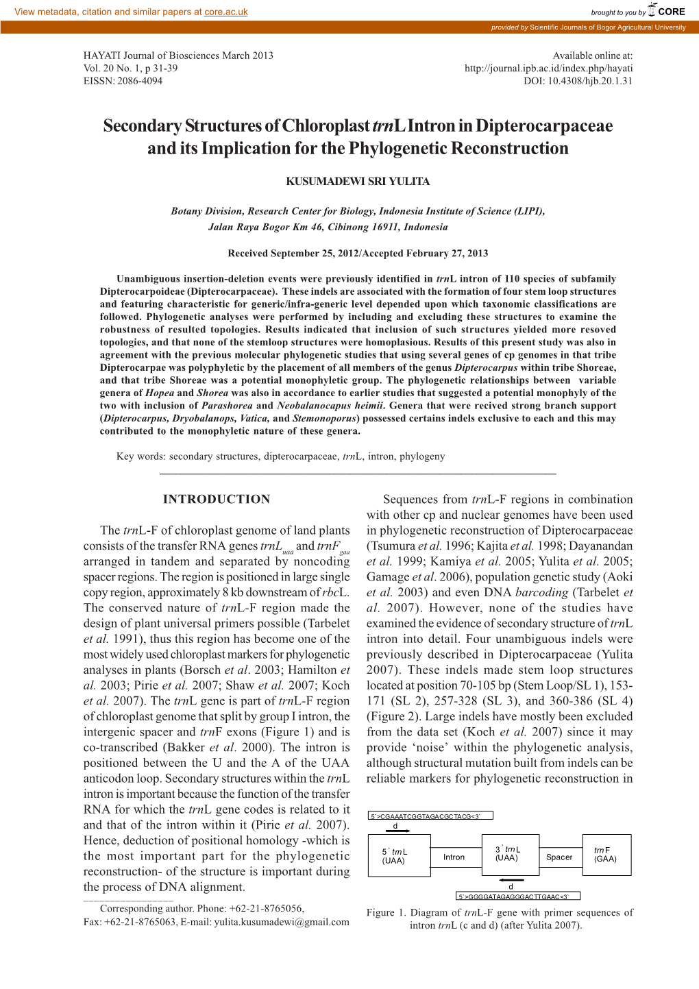 Secondary Structures of Chloroplast Trnl Intron in Dipterocarpaceae and Its Implication for the Phylogenetic Reconstruction