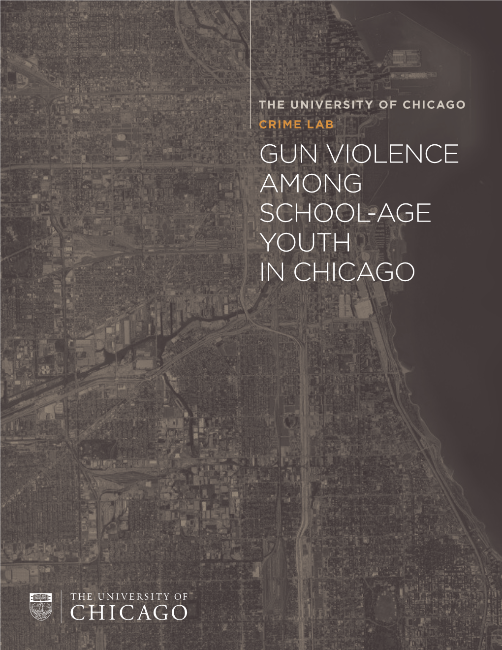 Gun Violence Among School-Age Youth in Chicago