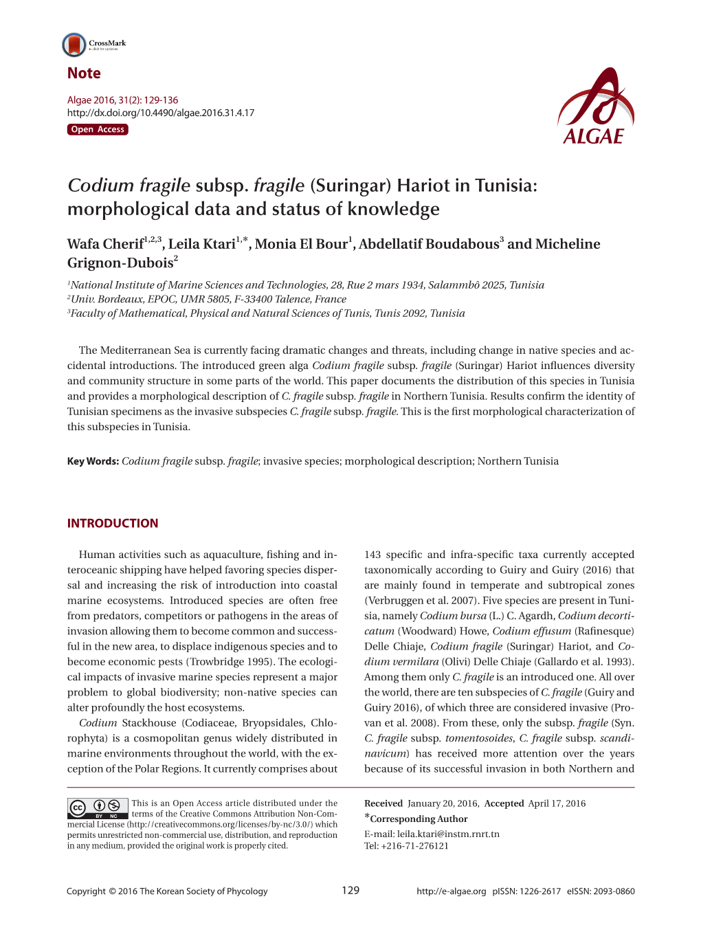 Codium Fragile Subsp. Fragile (Suringar) Hariot in Tunisia: Morphological Data and Status of Knowledge