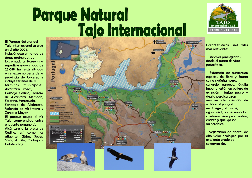 El Parque Natural Del Tajo Internacional Se Crea En El Año