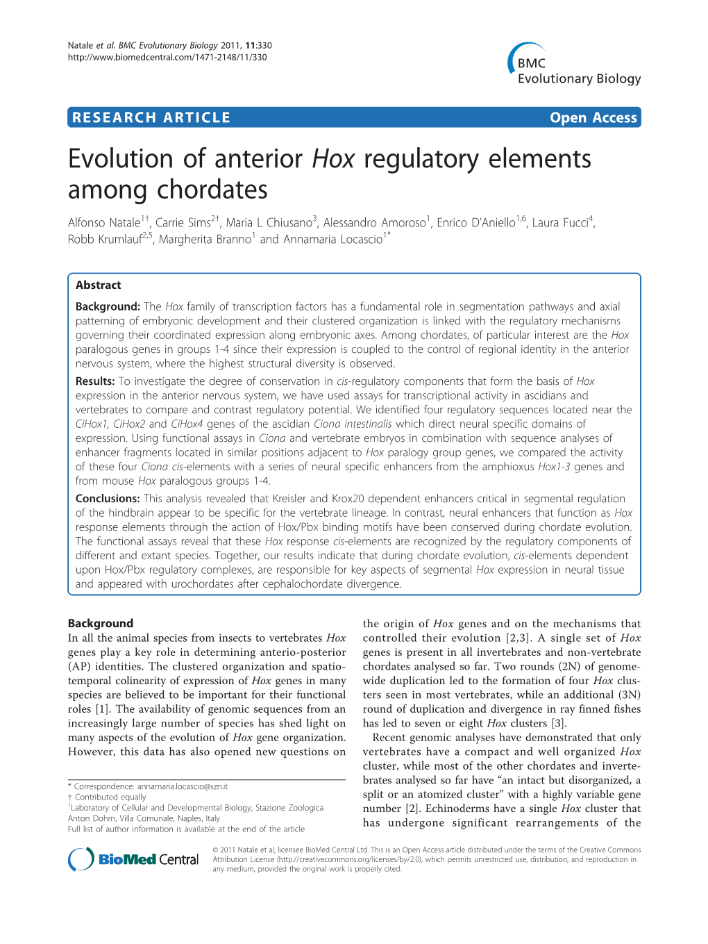 Evolution of Anterior Hox Regulatory Elements Among Chordates