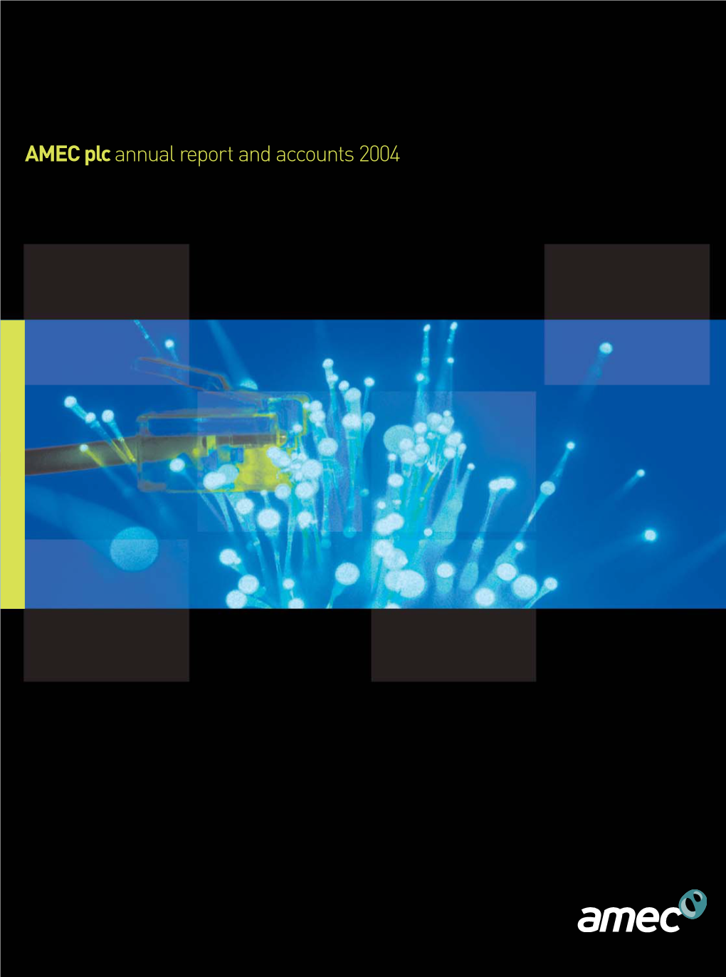 AMEC Plc Annual Report and Accounts 2004