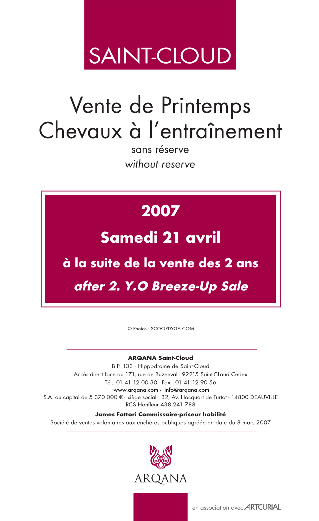 Vente De Printemps Chevaux À L'entraînement