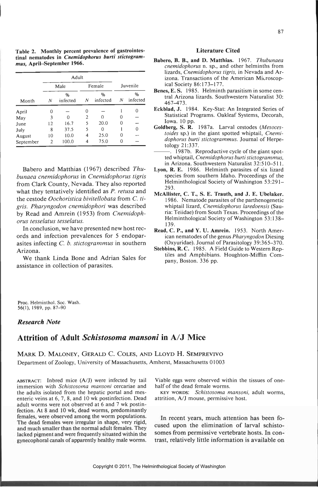 Attrition of Adult Schistosoma Mansoniin A/J Mice