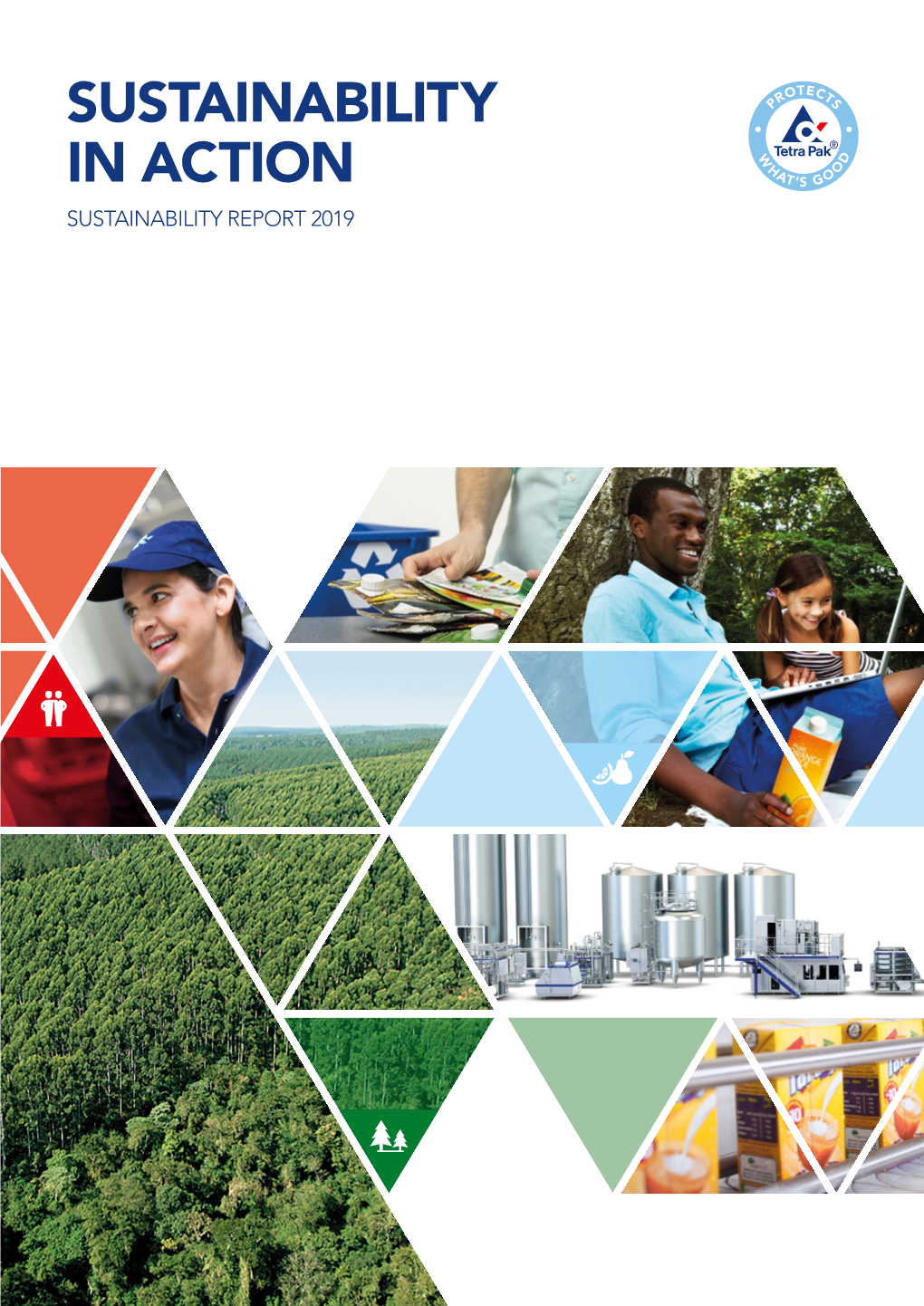 Sustainability in Action Sustainability Report 2019 Approach Chief Executive Officer’S Letter