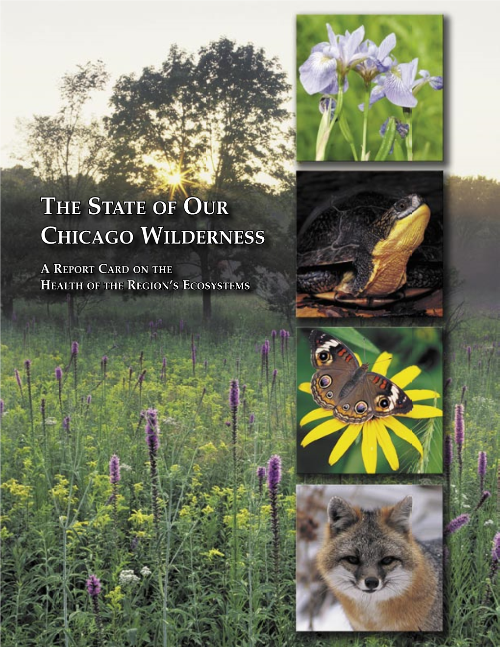 The State of Our Chicago Wilderness