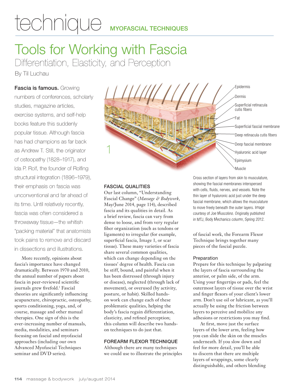 Tools for Working with Fascia Differentiation, Elasticity, and Perception by Til Luchau