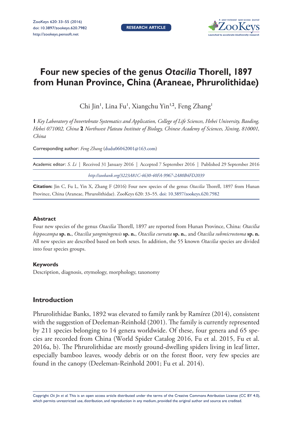 ﻿Four New Species of the Genus Otacilia Thorell, 1897 from Hunan Province, China (Araneae, Phrurolithidae)