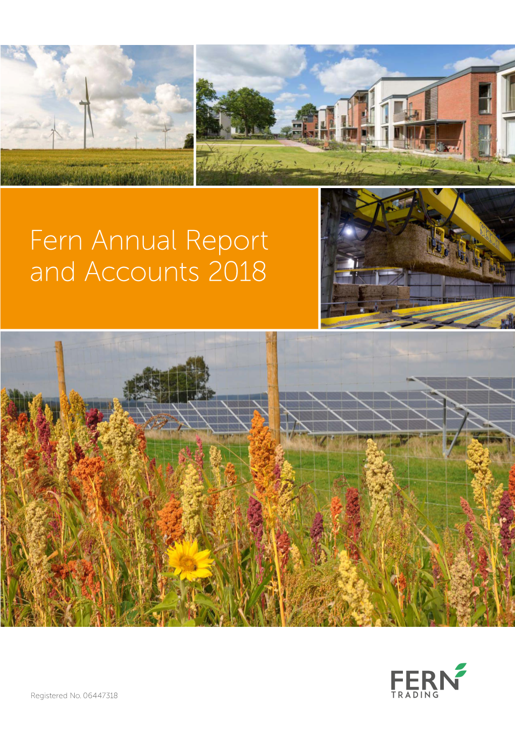 Fern Annual Report and Accounts 2018