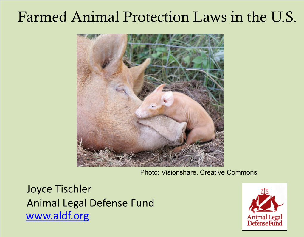 Farmed Animal Protection Laws in the U.S