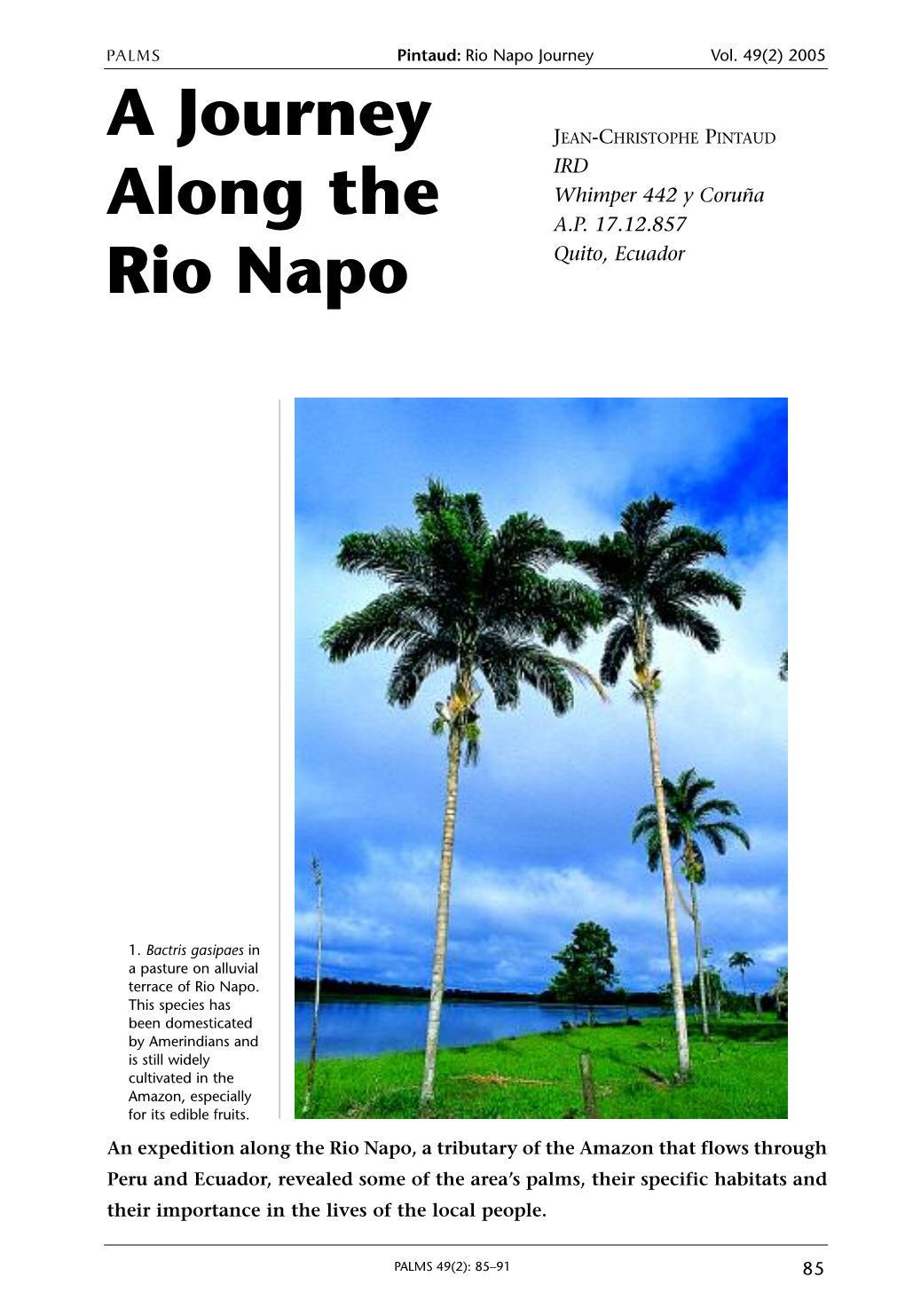 A Journey Along the Rio Napo