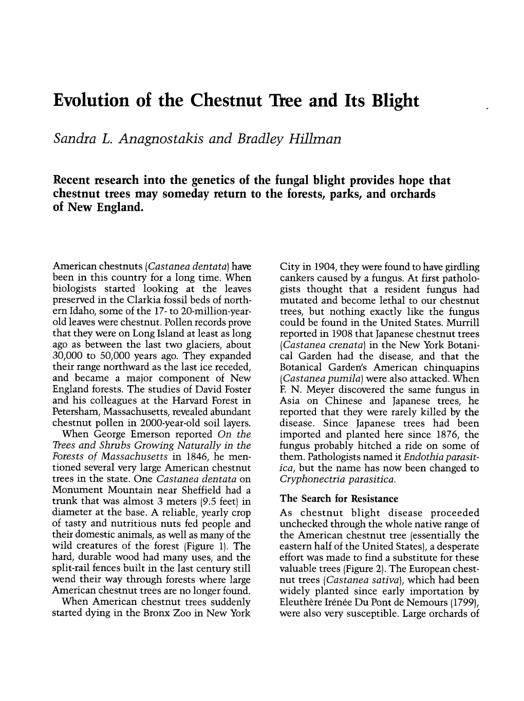 Evolution of the Chestnut Tree and Its Blight