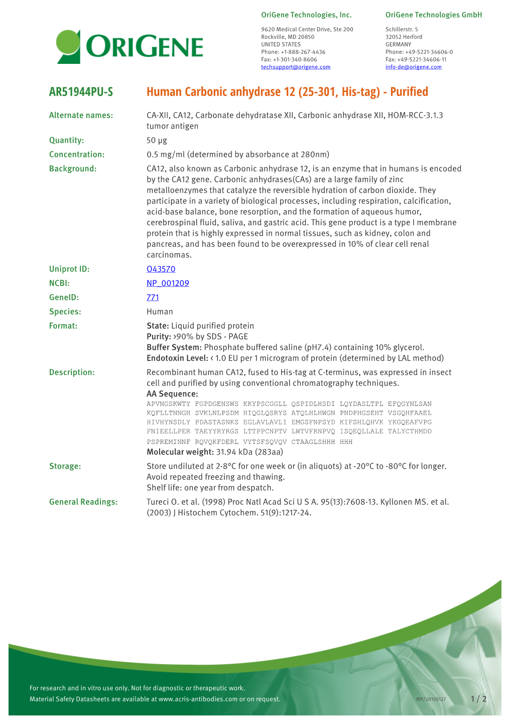 Human Carbonic Anhydrase 12 (25-301, His-Tag) - Purified