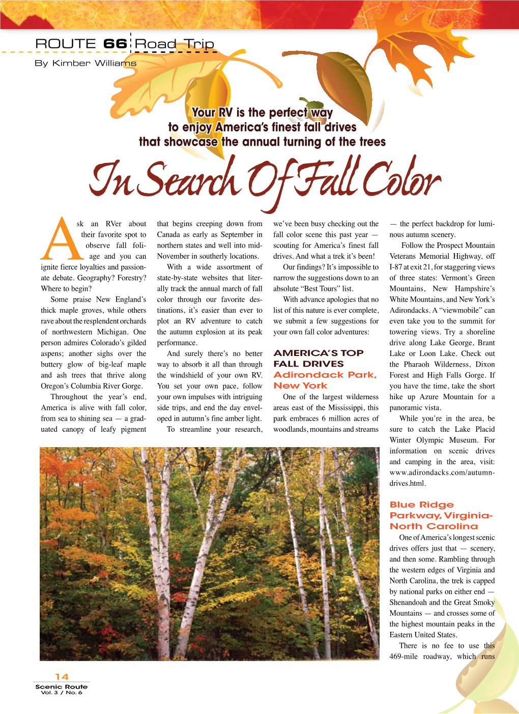 In Search of Fall Color