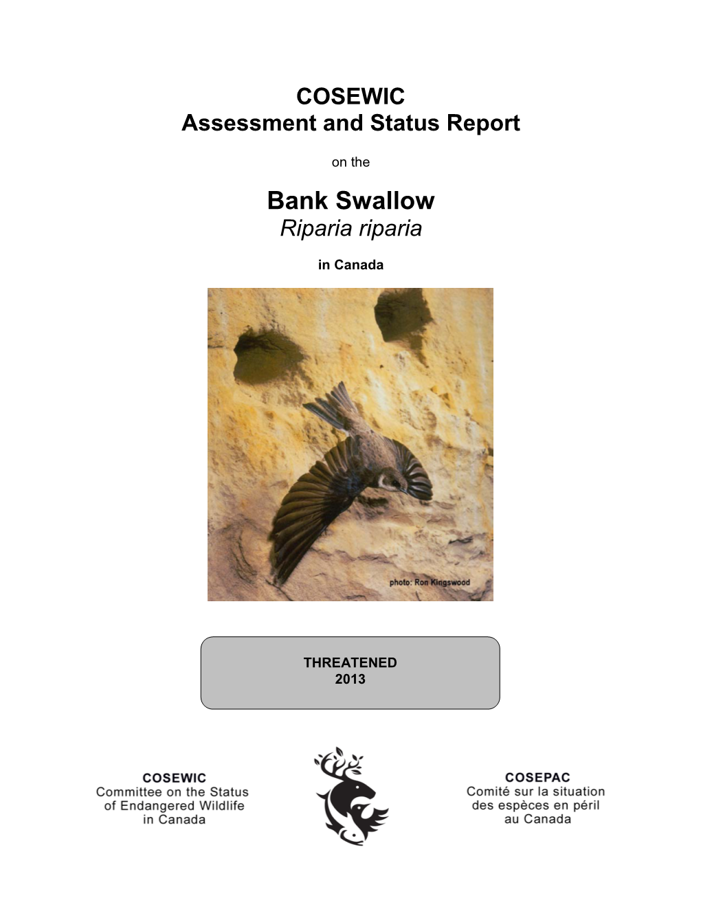 COSEWIC Assessment and Status Report on the Bank Swallow Riparia Riparia in Canada