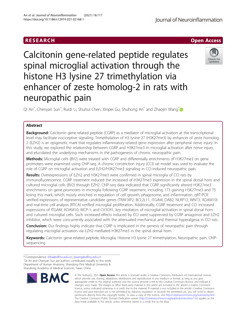 Calcitonin Gene-Related Peptide Regulates Spinal Microglial