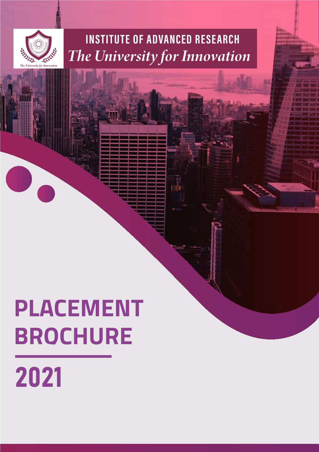 PLACEMENT BROCHURE 2021 About University