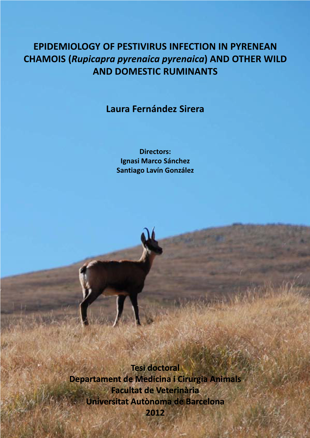 EPIDEMIOLOGY of PESTIVIRUS INFECTION in PYRENEAN CHAMOIS (Rupicapra Pyrenaica Pyrenaica) and OTHER WILD and DOMESTIC RUMINANTS