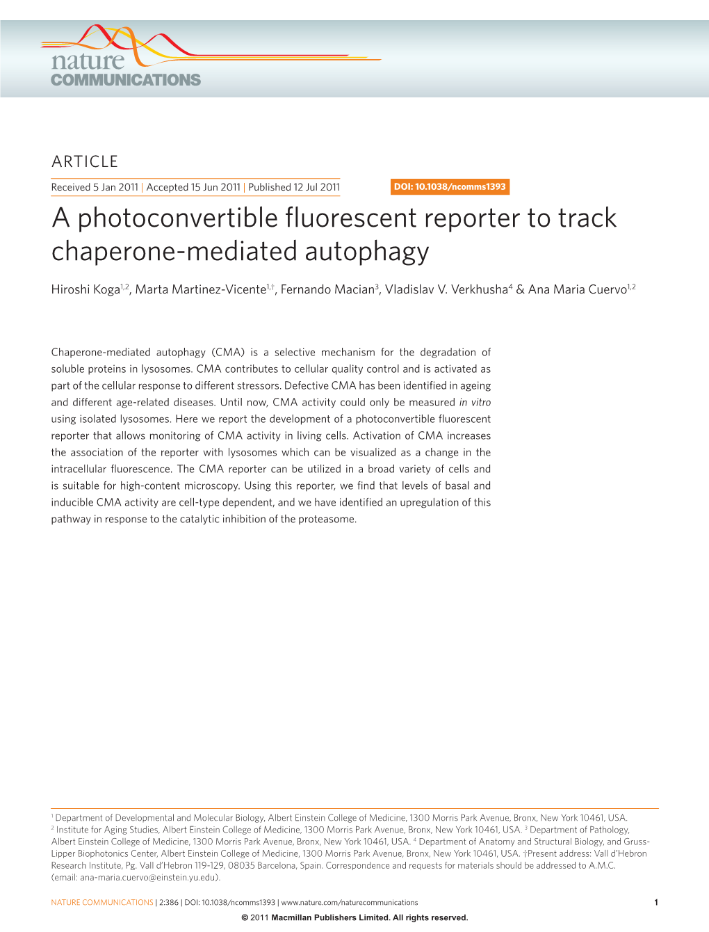 A Photoconvertible Fluorescent Reporter to Track Chaperone-Mediated Autophagy