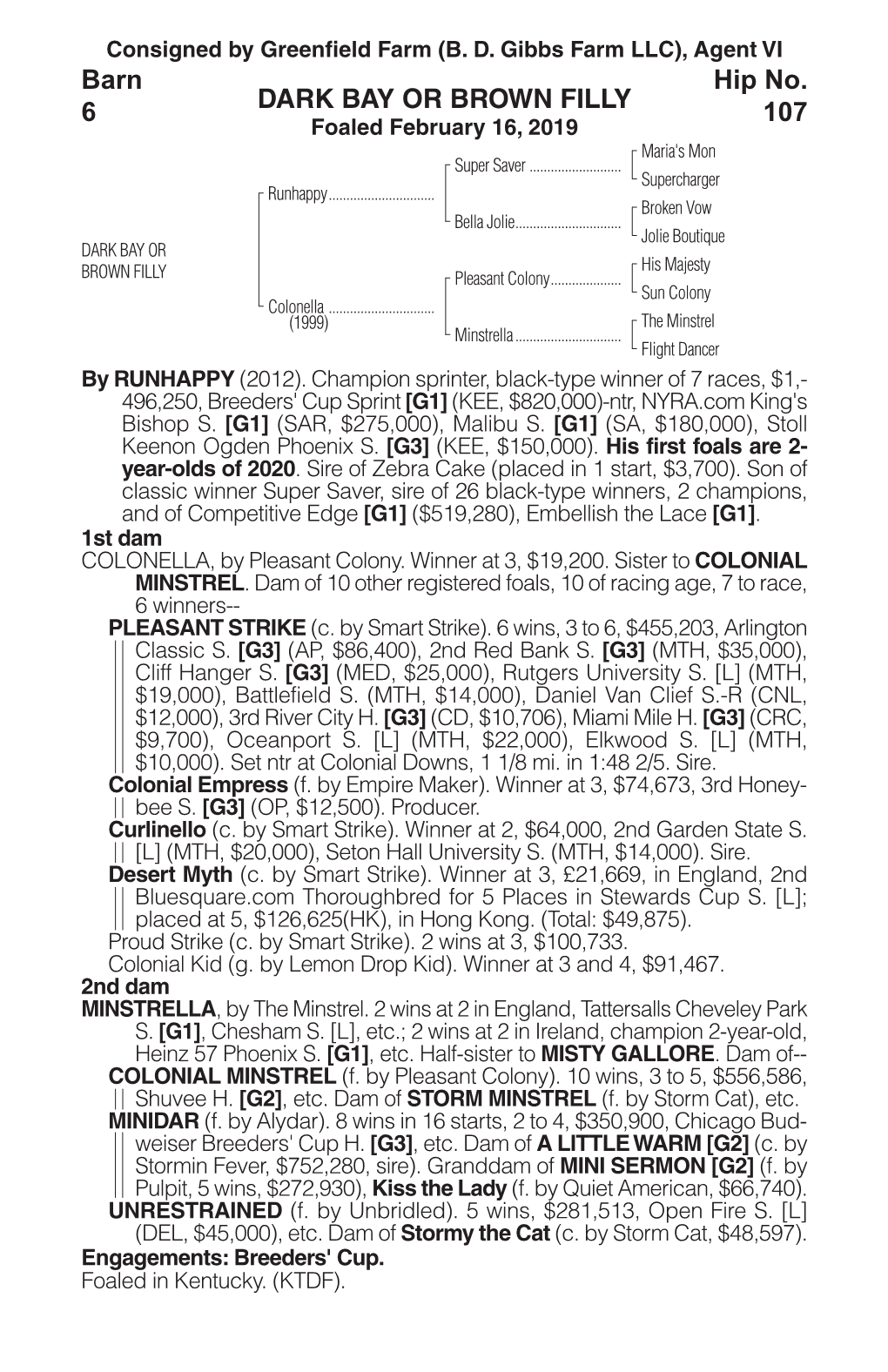 DARK BAY OR BROWN FILLY Barn 6 Hip No