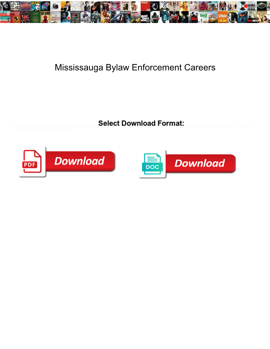 Mississauga Bylaw Enforcement Careers
