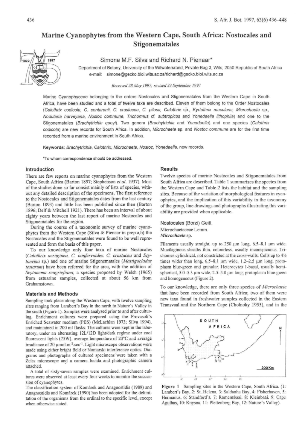 Nostocales and Stigonematales