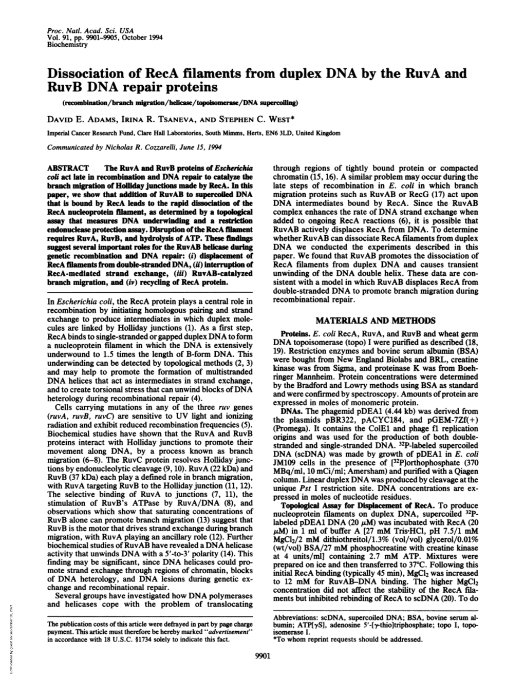 Ruvb DNA Repair Proteins (Recombination/Branch Mlgratlon/Beflcase/Topolsomerase/DNA Supercoiling) DAVID E