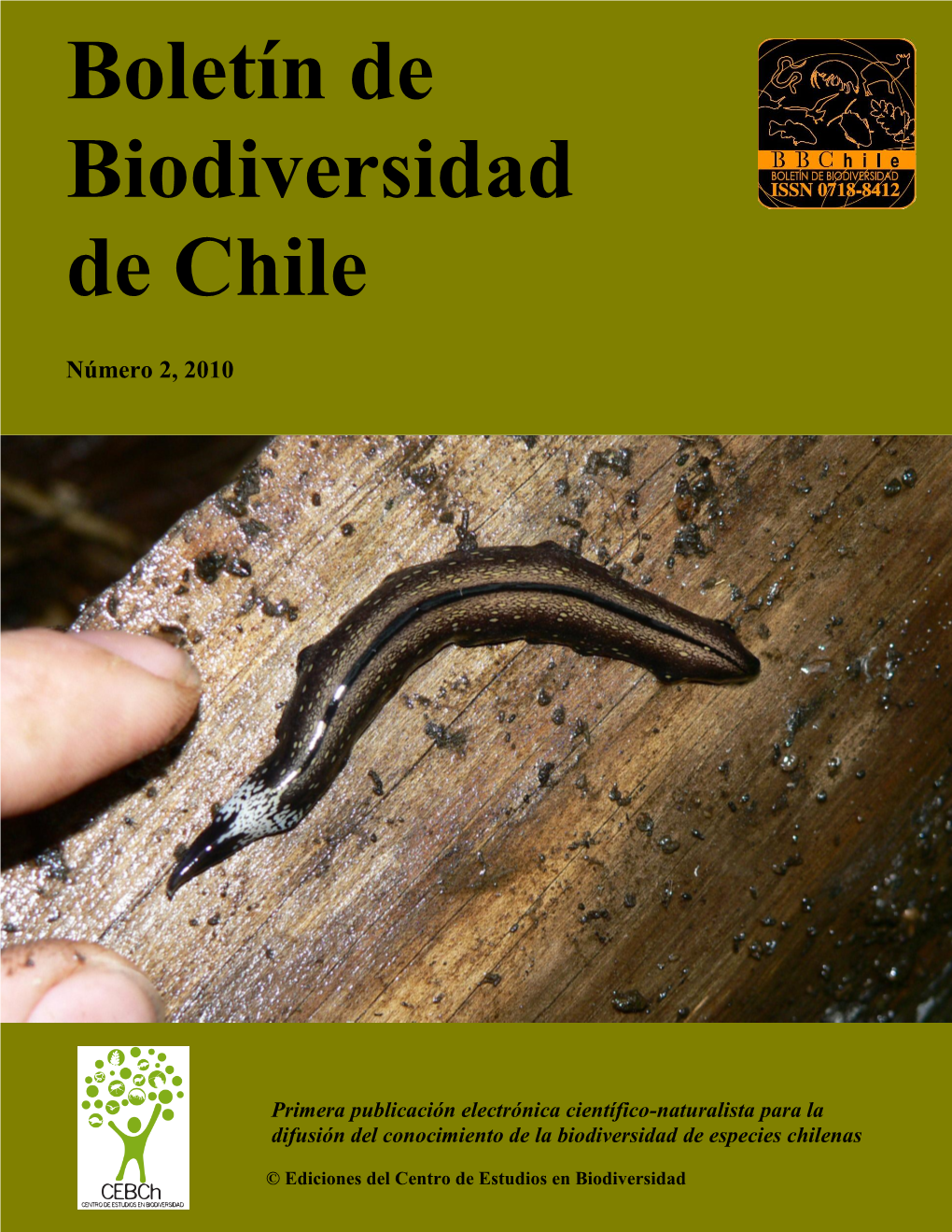 Boletín De Biodiversidad De Chile Número 2, 2010