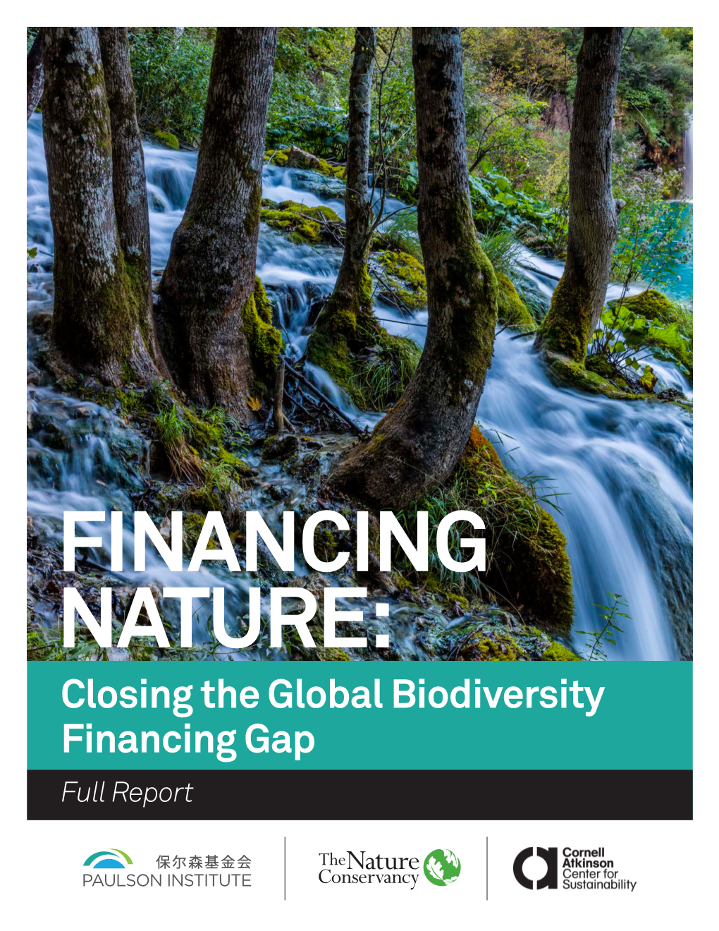 Closing the Global Biodiversity Financing Gap Full Report AUTHORS REVIEWERS/CONTRIBUTORS DISCLAIMER Andrew Deutza, Geoffrey M