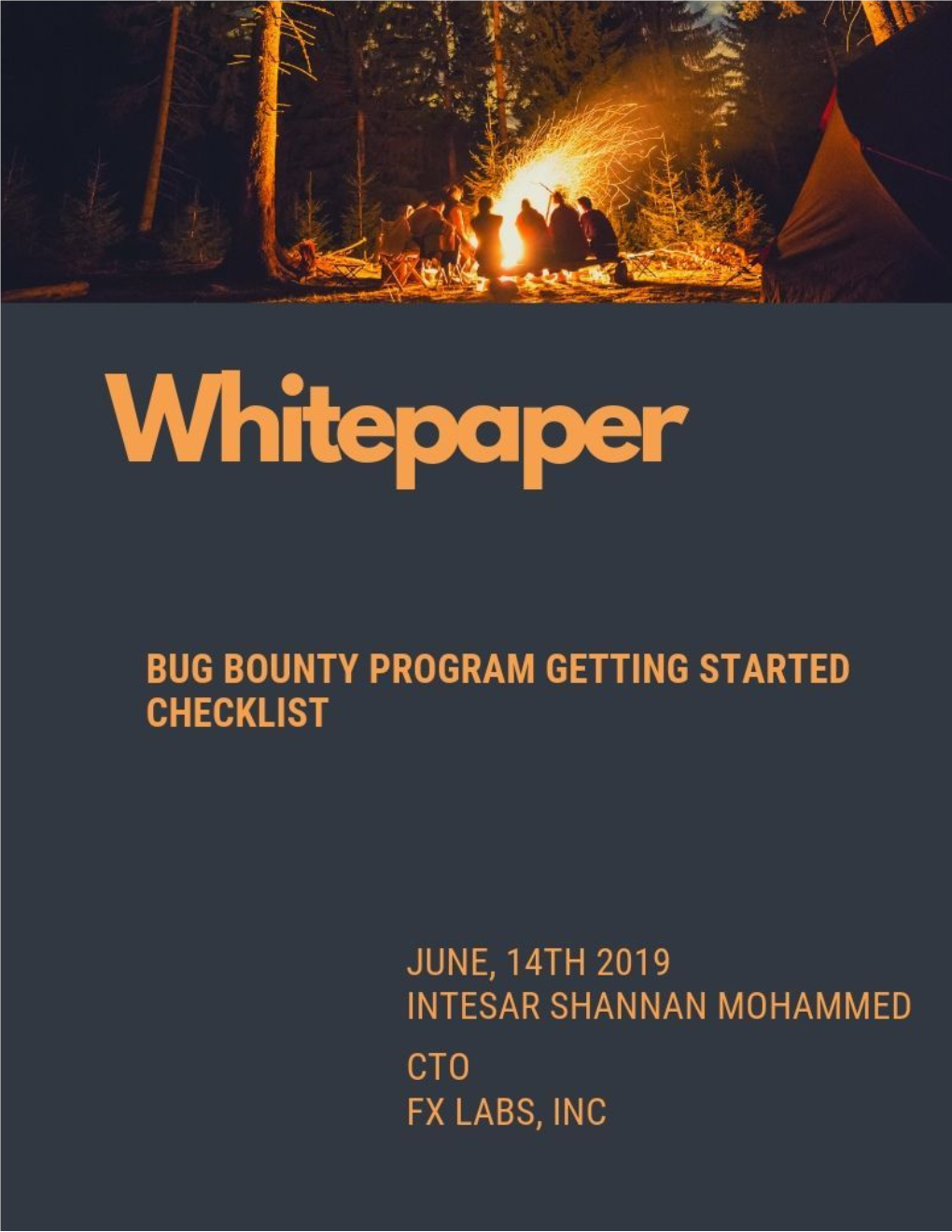 What Is a Bug Bounty Program 2