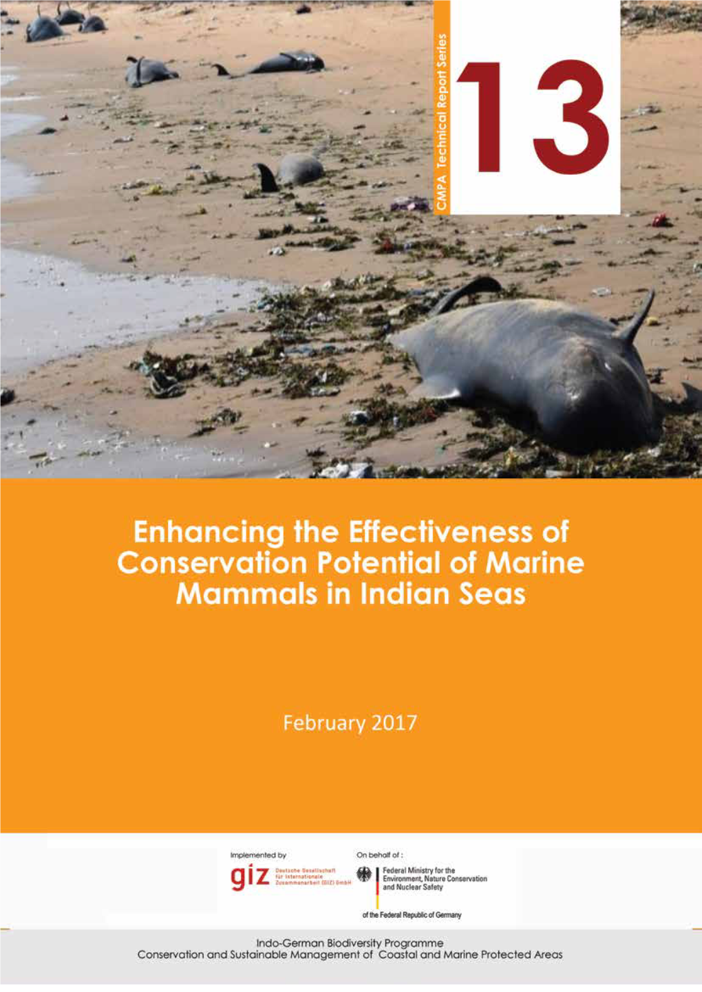 Marine Mammal Stranding Network- India- Coordinators 41 Annexure- 2 Indian Marine Mammal Stranding Data 45