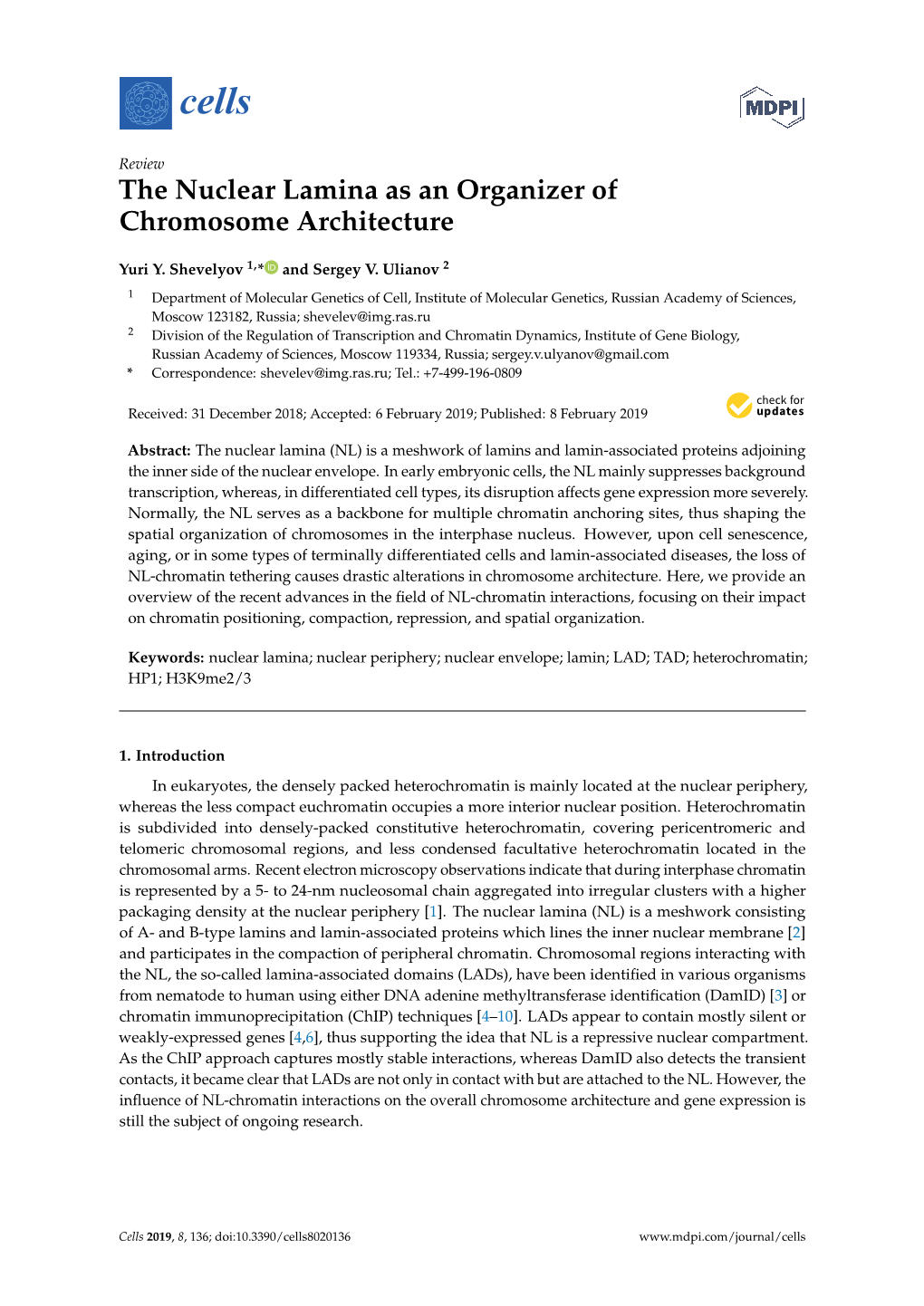 The Nuclear Lamina As an Organizer of Chromosome Architecture