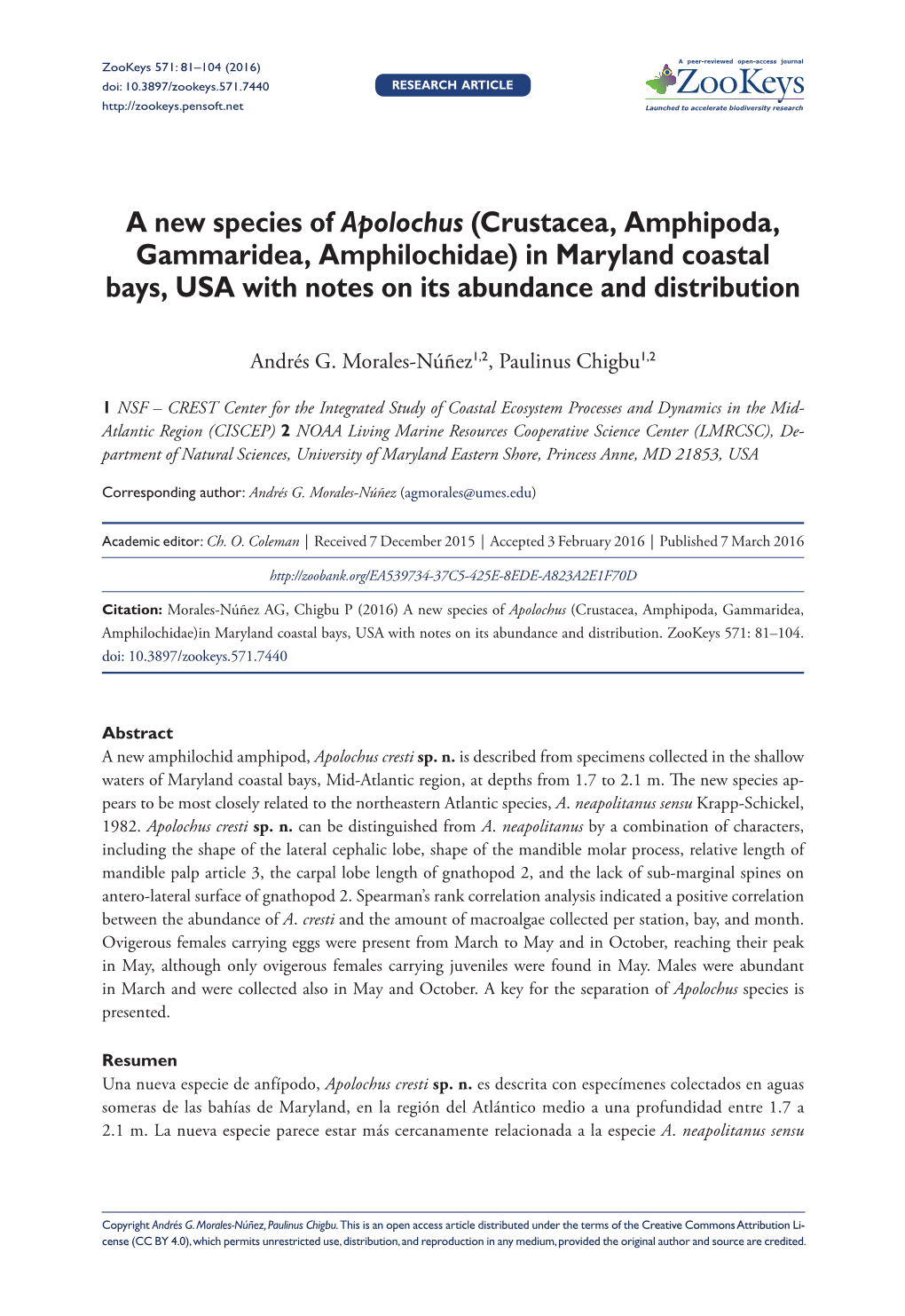 ﻿A New Species of Apolochus (Crustacea