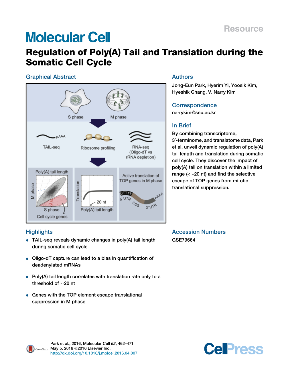 Regulation of Poly(A) Tail and Translation During the Somatic Cell Cycle