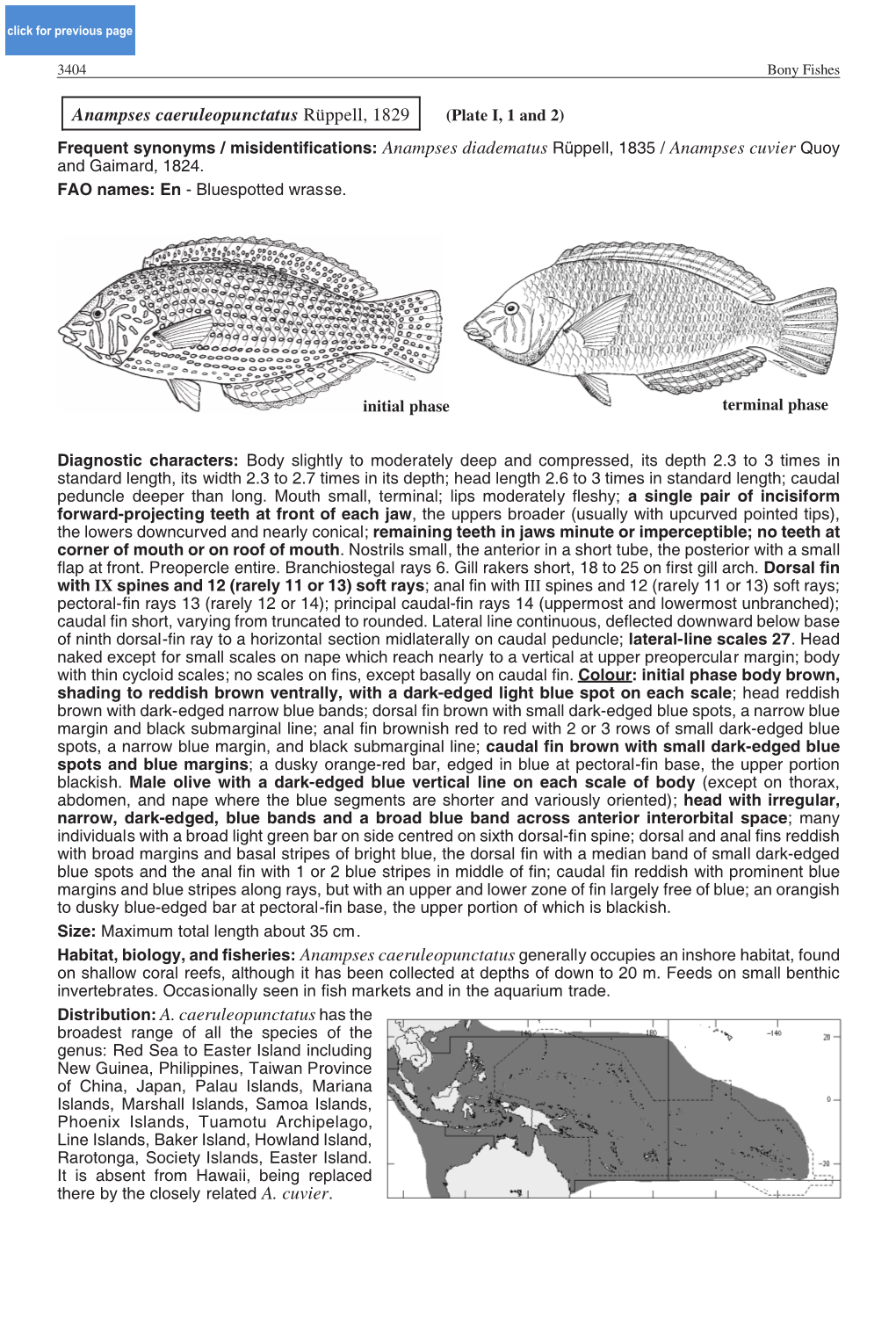 Anampses Caeruleopunctatus Rüppell, 1829 Distribution: A