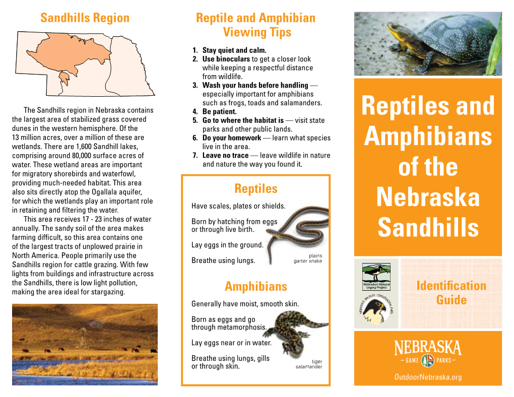 Reptiles and Amphibians of the Nebraska Sandhills