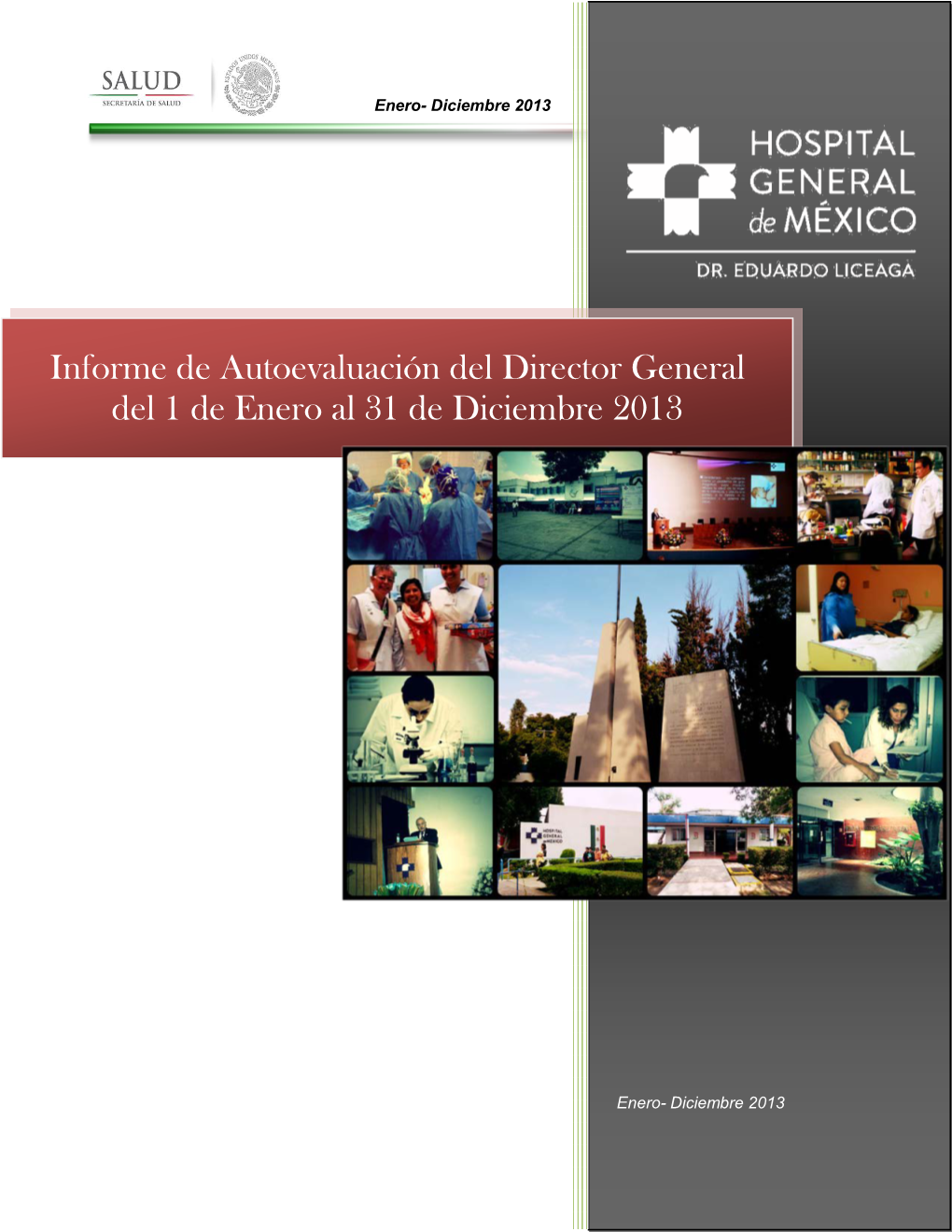 Informe De Autoevaluación Del Director General Del 1 De Enero Al 31 De Diciembre 2013