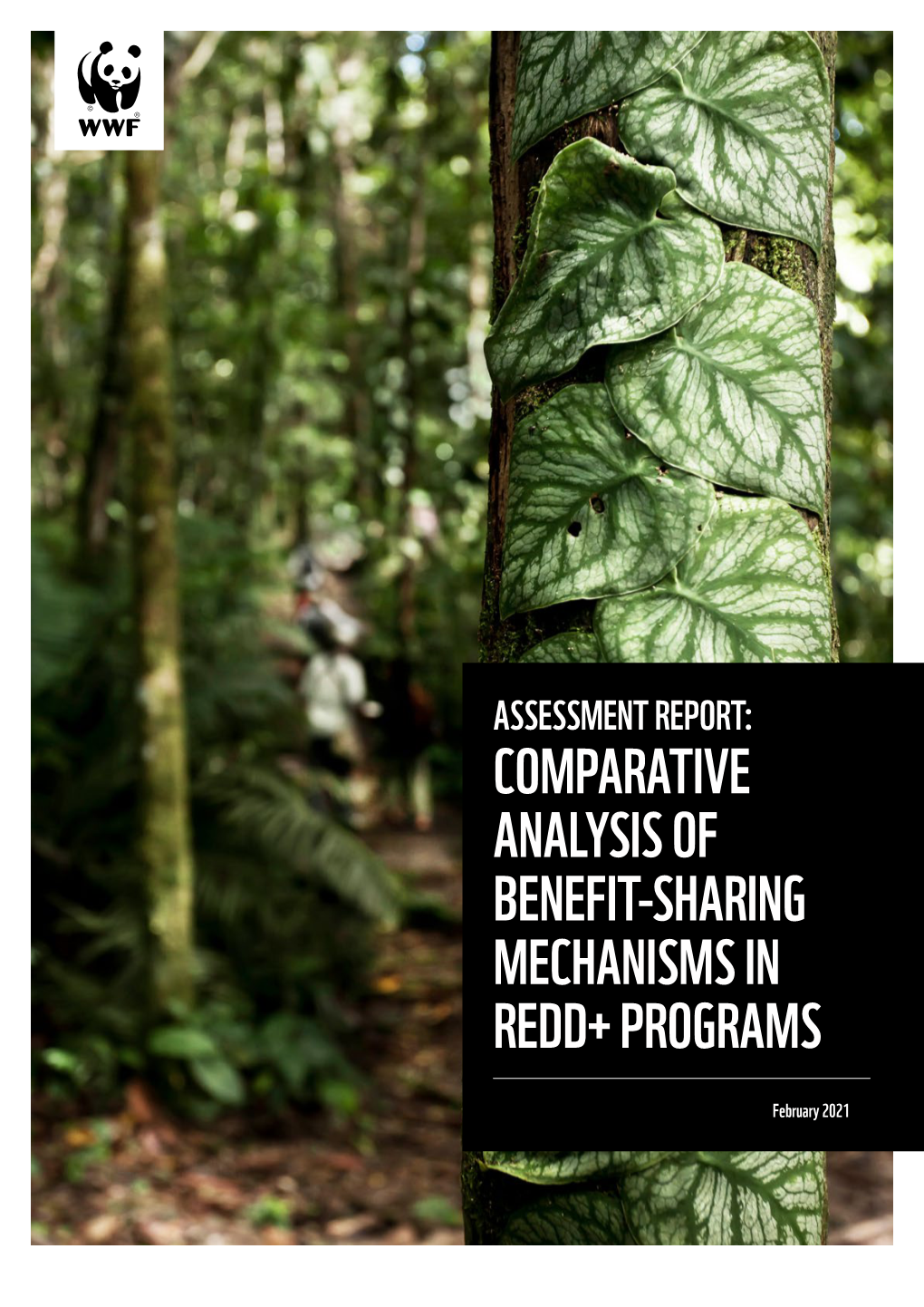 Comparative Analysis of Benefit-Sharing Mechanisms in Redd+ Programs