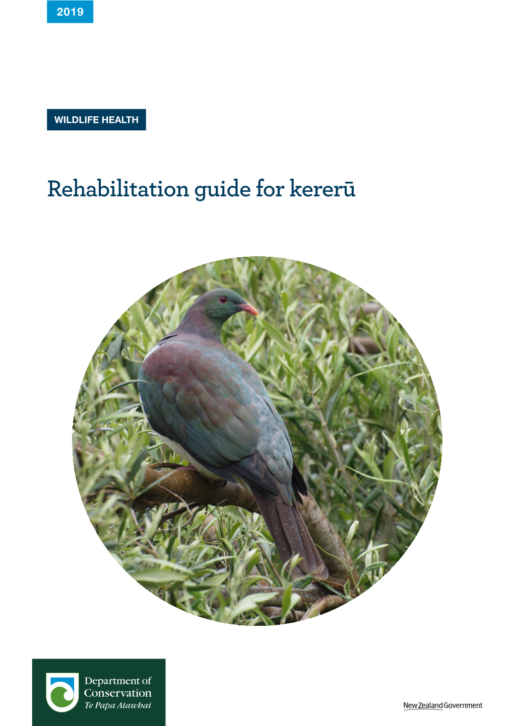 Kererū Rehabilitation Guide