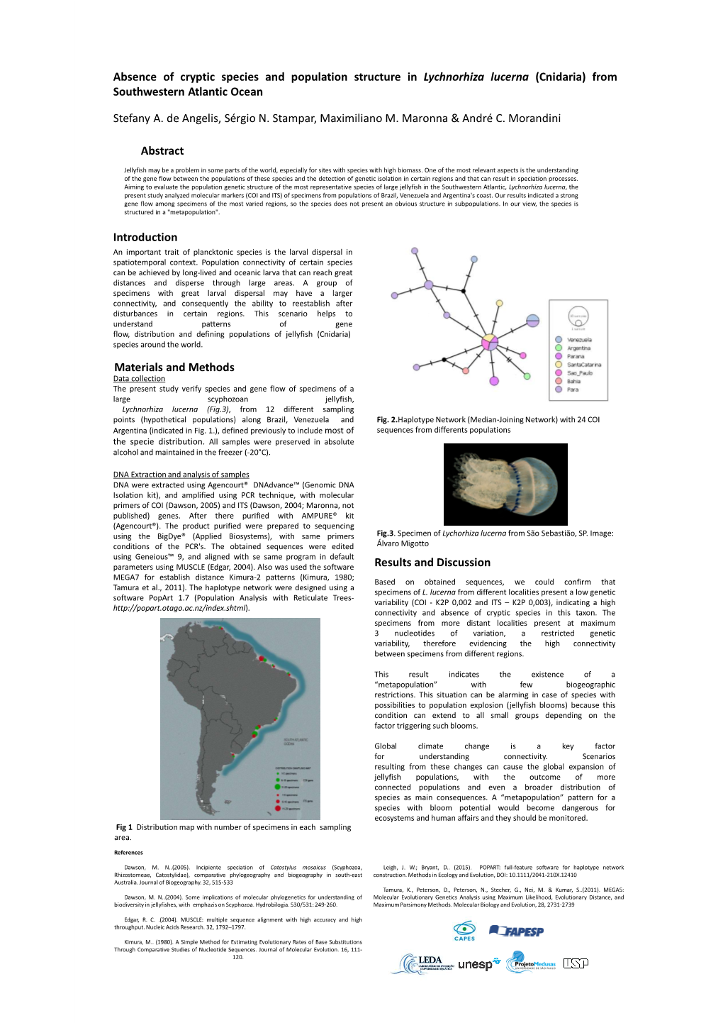 Absence of Cryptic Species and Population Structure in Lychnorhiza Lucerna (Cnidaria) from Southwestern Atlantic Ocean