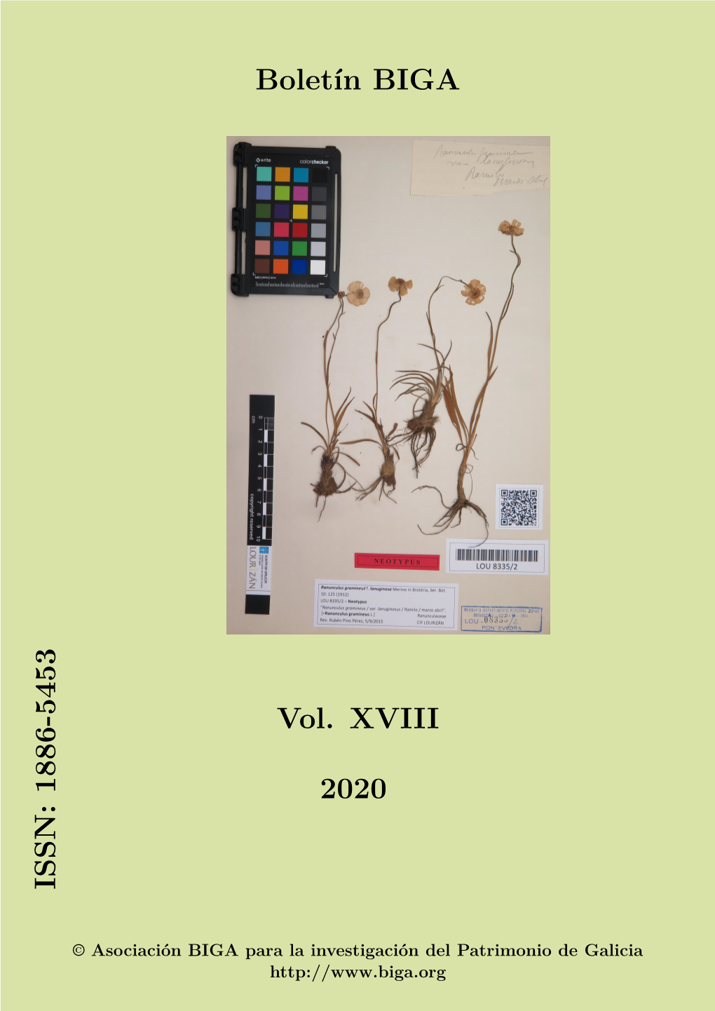 1886-5453 Vol. XVIII 2020