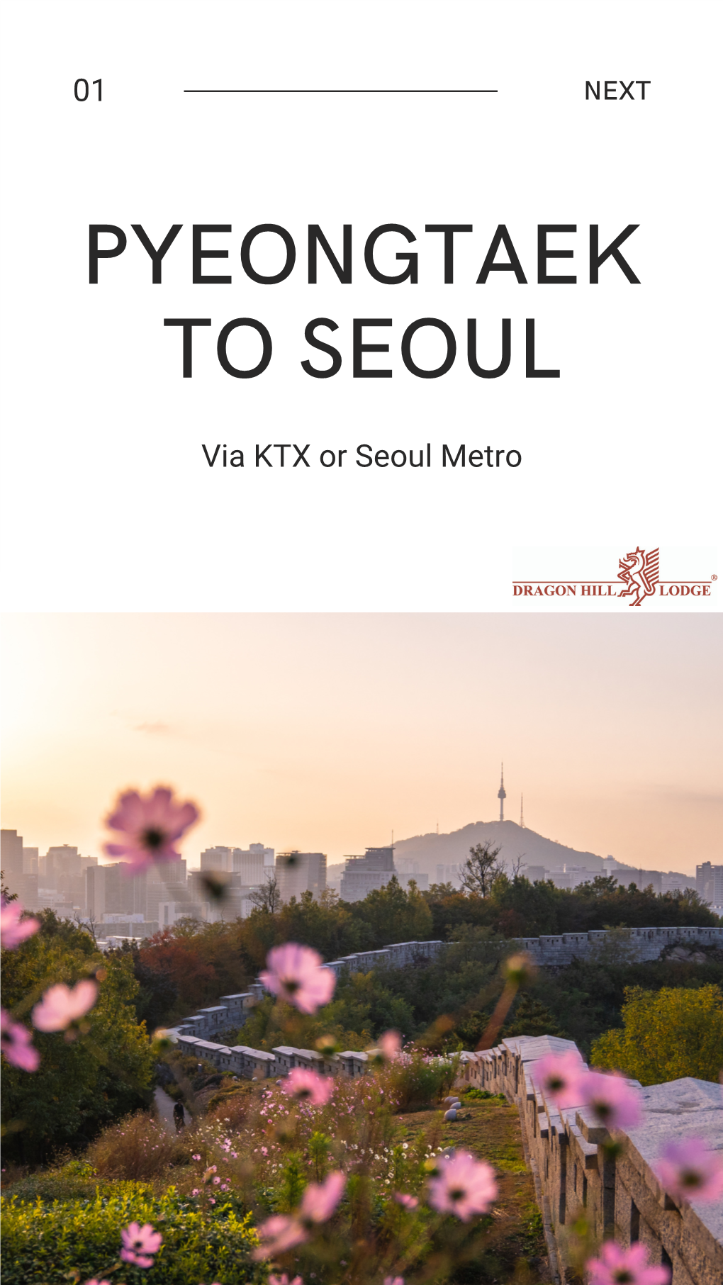 Train from Pyeongtaek to Seoul Presentation