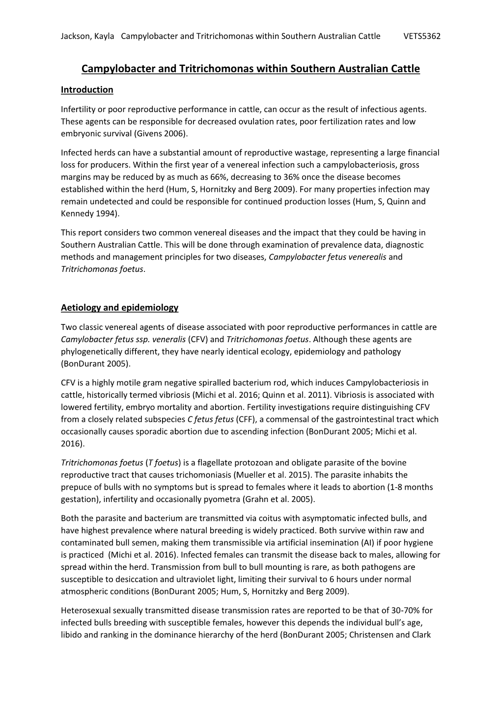 Campylobacter and Tritrichomonas Within Southern Australian Cattle VETS5362