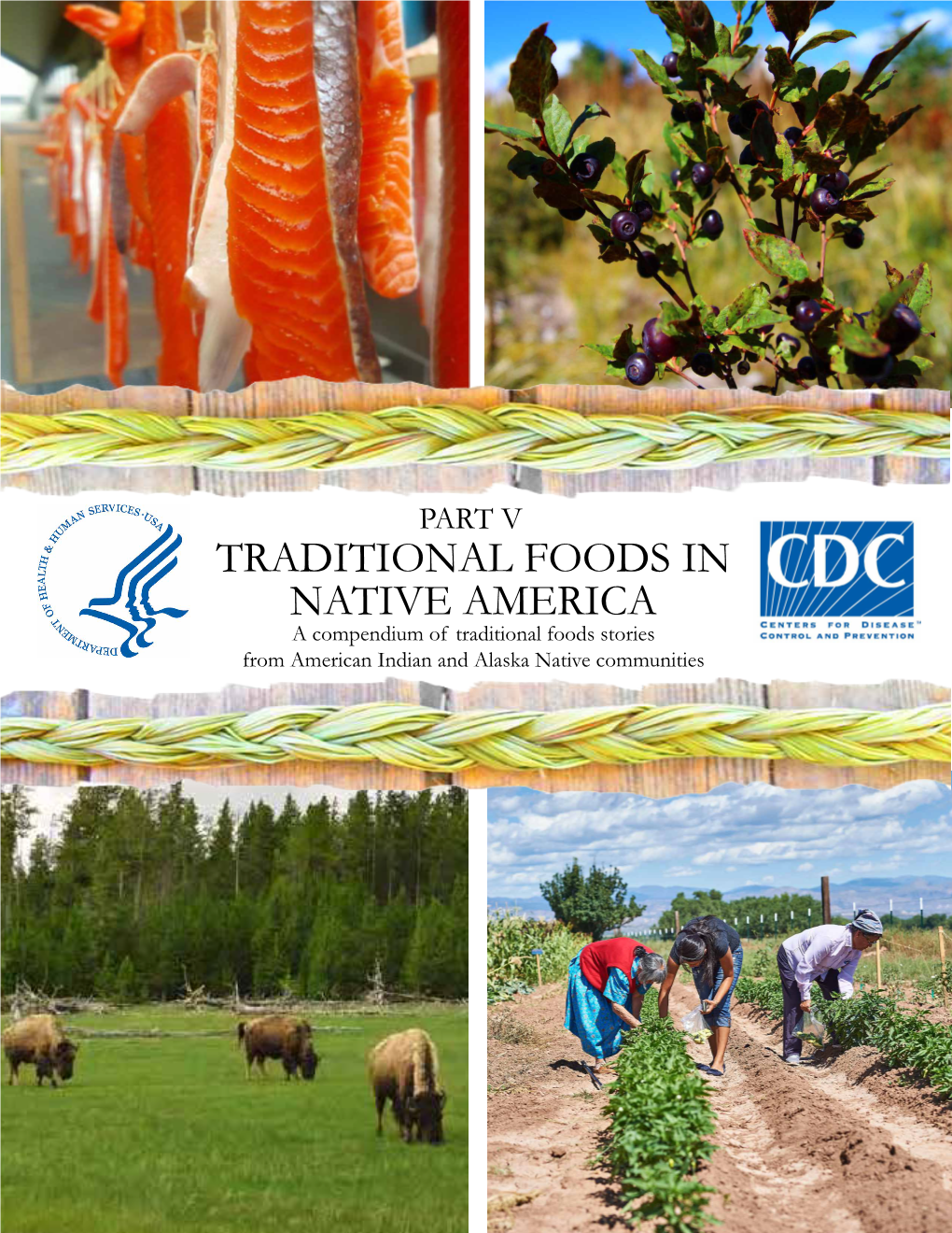 Part V, Traditional Foods in Native America